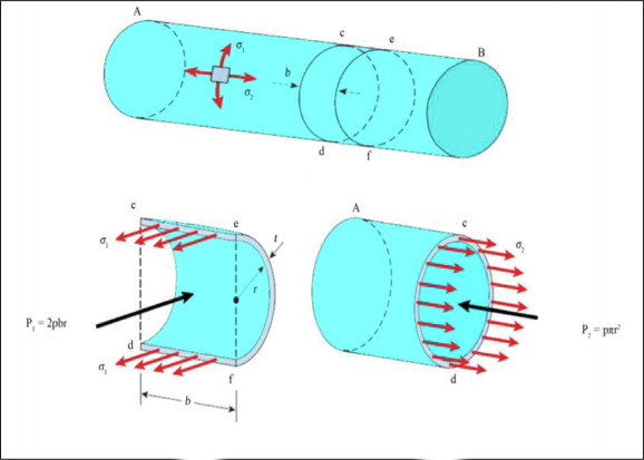 Netting Analysis of CPVs